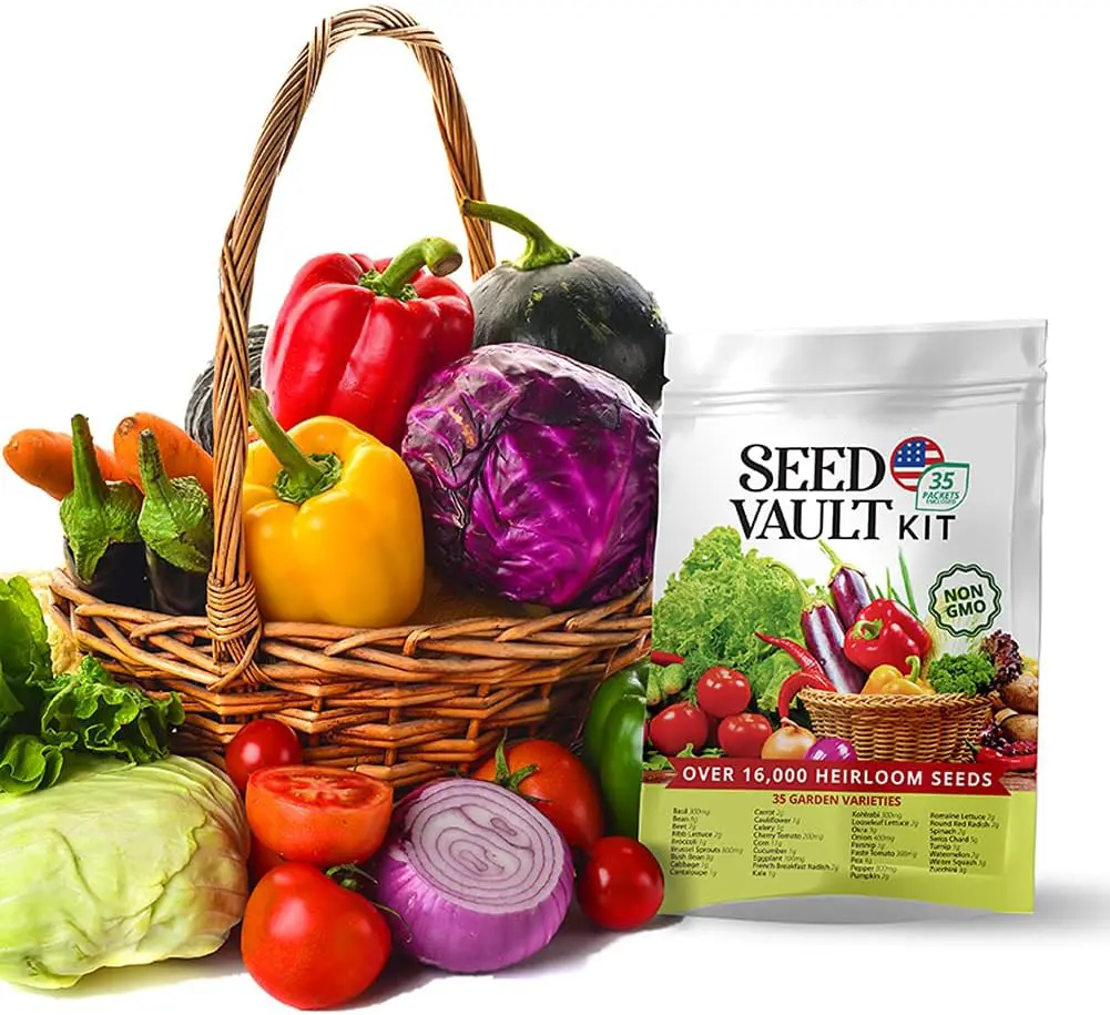 Survival Vegetable Seed Vault - 35-Pack 16,000+ Seeds for Spring, Fall, Winter Gardening - Preppers & Gardeners Gift Kit for Men, Women