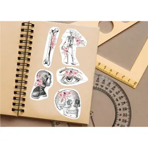 Anatomy Stickers Set - Medical Marvels Science Education Supplies