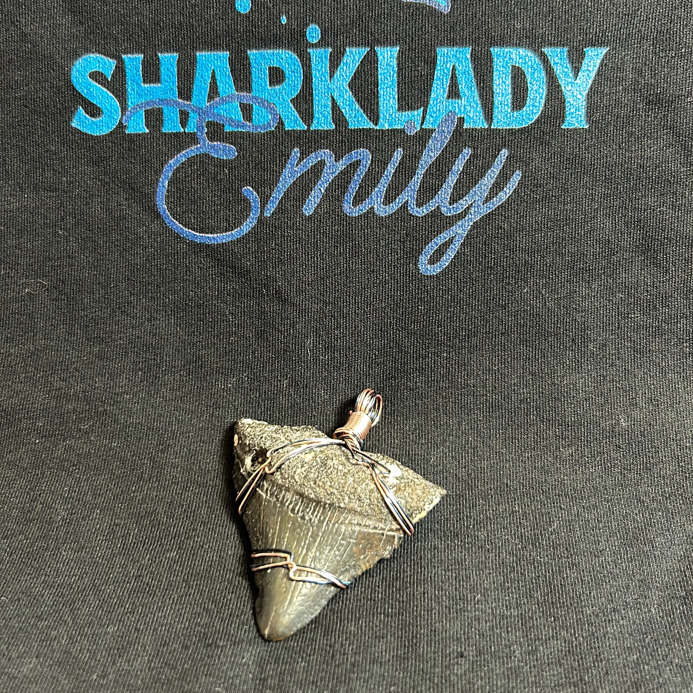 Megalodon tooth Pendant