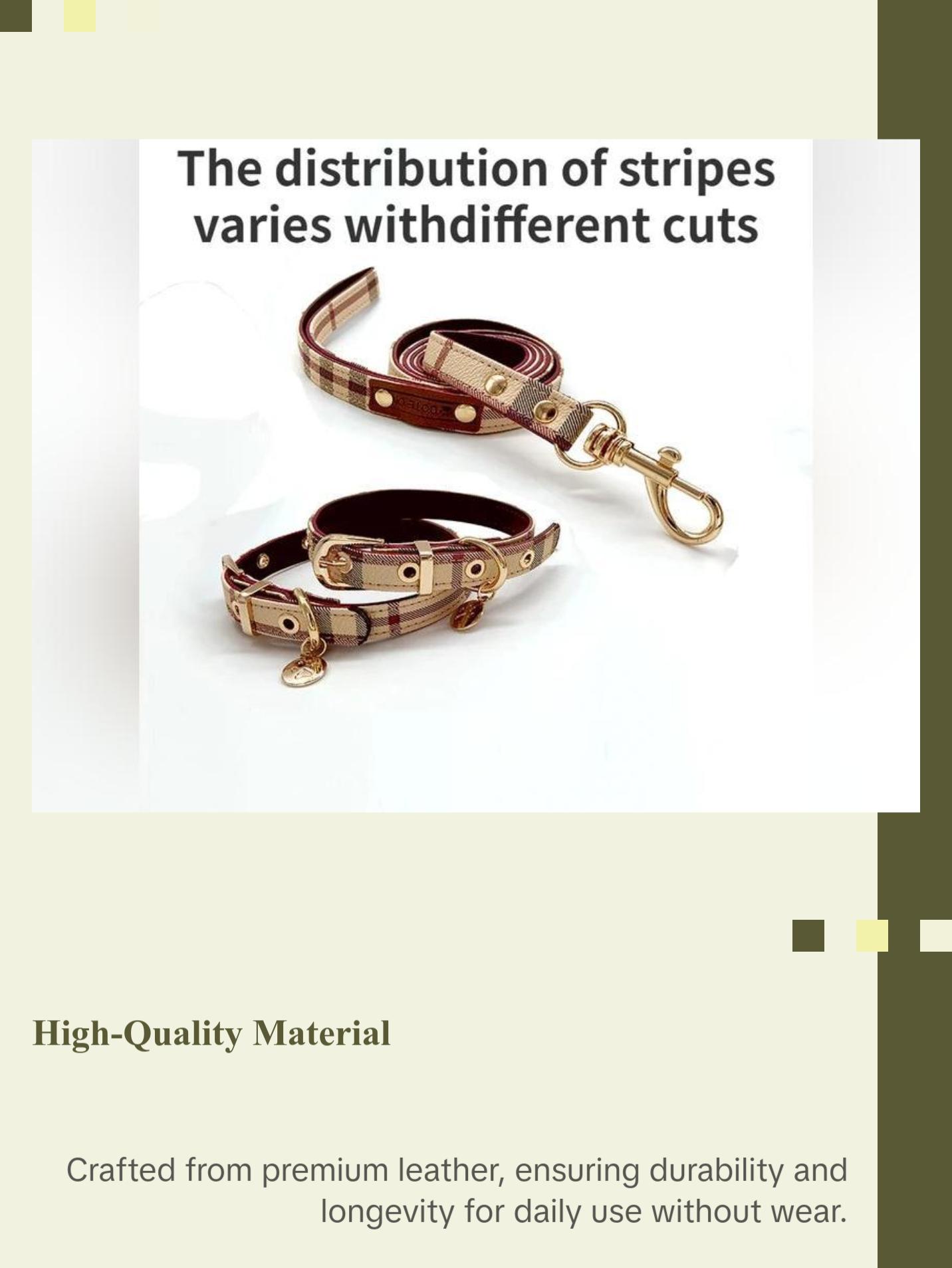 Leather Pet Collar and Leash Set