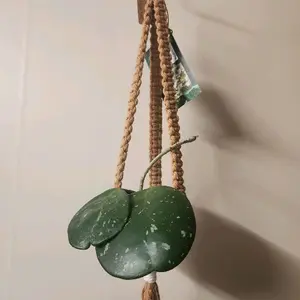 Tan Flat-Style Macrame Plant Hanger with Gold Ring and Fluffy Tail for 2 Inch Pot Decorative Home Accessory