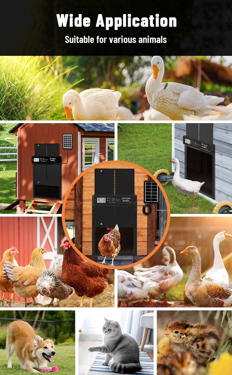 Automatic Chicken Coop Door Solar Powered, LCD Screen Electric Auto Chicken Coop Door with Timer & Light Sensor, Aluminum Rechargeable Automatic Chicken Door Opener with Remote Control & 4 Modes