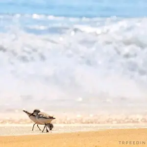 Photography print with mat