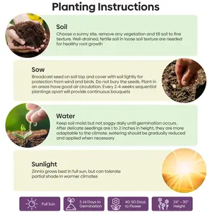 Zinnia Seeds Mix, 1 Oz, Over 3,000 Flowers Seeds, 5 Varieties (Pink, Yellow, Orange, White, Purple), Mixed Colors and Large Blooms,Open Pollinated - Bulk