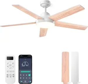 DEEPN Ceiling Fans with Lights and Remote, Low Profile Ceiling Fan with Light, APP, 6 Speed, Dimmable, DC Motor, Quiet, Timer, Flush Mount Modern Ceiling Fan for Bedroom Living Room