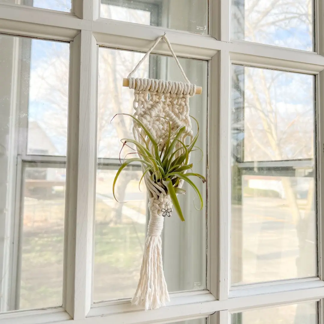 Macrame Air Plant Holder - TikTok Shop