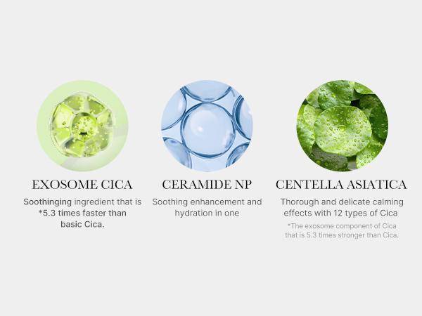 [medicube] Exosome Cica Cream | Hydrating & Soothing Cream with Exosome Cica and Ceramides Lightweight Moisturizer Moisturizing Skincare
