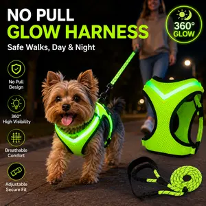 reflective dog  LED Glow Dog Harness & Leash, No Pull Reflective Pet Vest with 1 Leash , USB Rechargeable Safety Harness for Night Walking, Adjustable Soft-Padded Dog Vest, Reflective No-Choke Pet Vest with Easy-Control