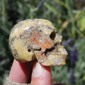 2in Crazy Lace Agate Crystal Geode Skull