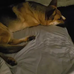 Product Review of The Ice Blanket from 🦋**🍉