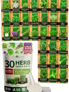30 Herb Seeds Pack | 9,500 Non-GMO, Heirloom Seeds | Indoor & Outdoor Planting | Culinary Herb Seeds Variety Pack | Perfect for Hydroponic Gardens | Parsley, Rosemary, Thyme & More