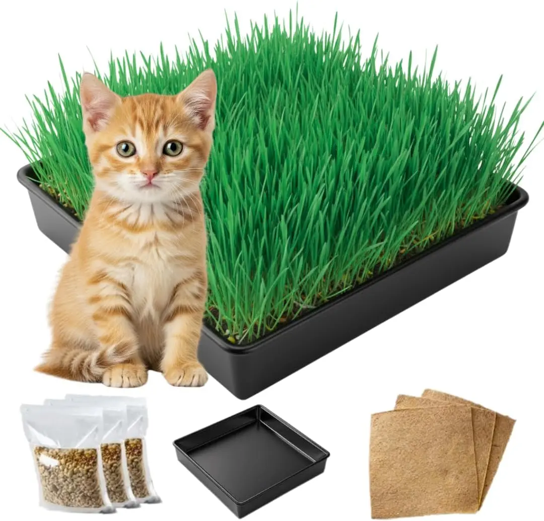 Organic Cat Grass Growing Kit – Complete Indoor Pet Grass Kit with Seeds, Jute Mats & Reusable Grow Tray for Cats