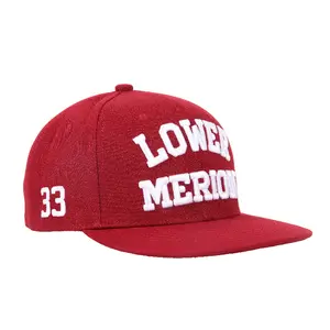 LOWER MERION Red and Blue Design Hip-Hop Sun Protection Hat for Men and Women Casual Personality Flat Brim Hat