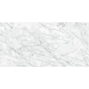 24 X 48 In Plata Carrara Matte Rectified Glazed Porcelain
