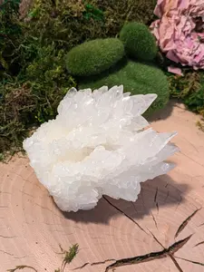 Snow White Albatine Aragonite Crystal Cluster Fairy Ring Natural Stone Cave Calcite Stalactite Mineral Specimen Dog Tooth Gemstone Sparkly