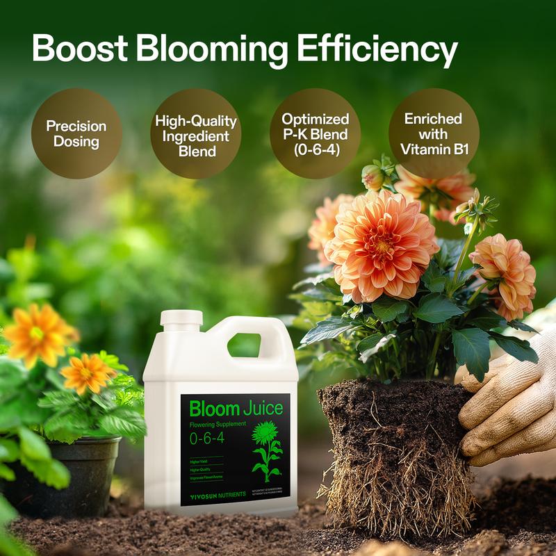 VIVOSUN Bloom Juice (0-6-4), Flowering Supplement Liquid Fertilizer for Flowering Stage, Concentrated Plant Food for All Flowering Plants, 32 Ounces/1 Quart