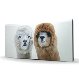 360 Stand 2-Llama High-Def Print Farm Animal Wall Art, 24x48 in. Whimsical Artistic Decoration, Charming Decor for Bedrooms, Gift for Animal Lovers, Artwork, Farm Animal Prints