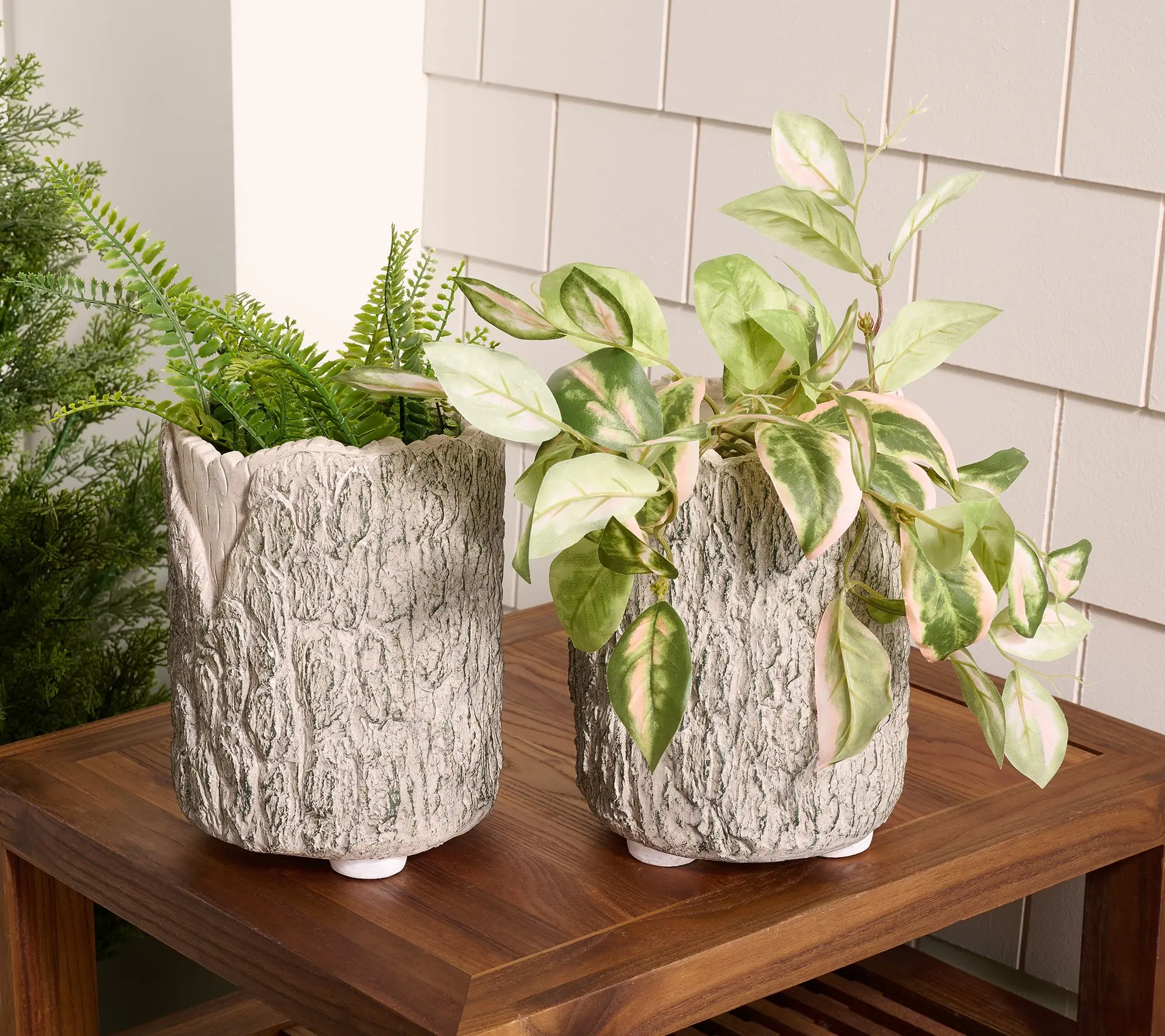 Martha Stewart Set of 2 9" Faux Bois Planters Martha Stewart Set of 2 9" Faux Bois Planters