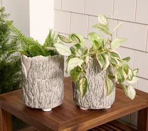 Martha Stewart Set of 2 9" Faux Bois Planters