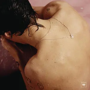 Harry Styles - Harry Styles - Record Album, Vinyl LP