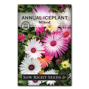Annual Iceplant - Livingstone Daisy Seeds