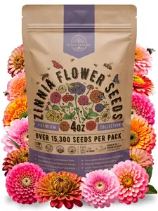 Organo Republic Premium Zinnia Seeds Pack 4 oz - 15,300+ Non-GMO Heirloom Seeds for Vibrant Garden Blooms & Pollinator-Friendly Design