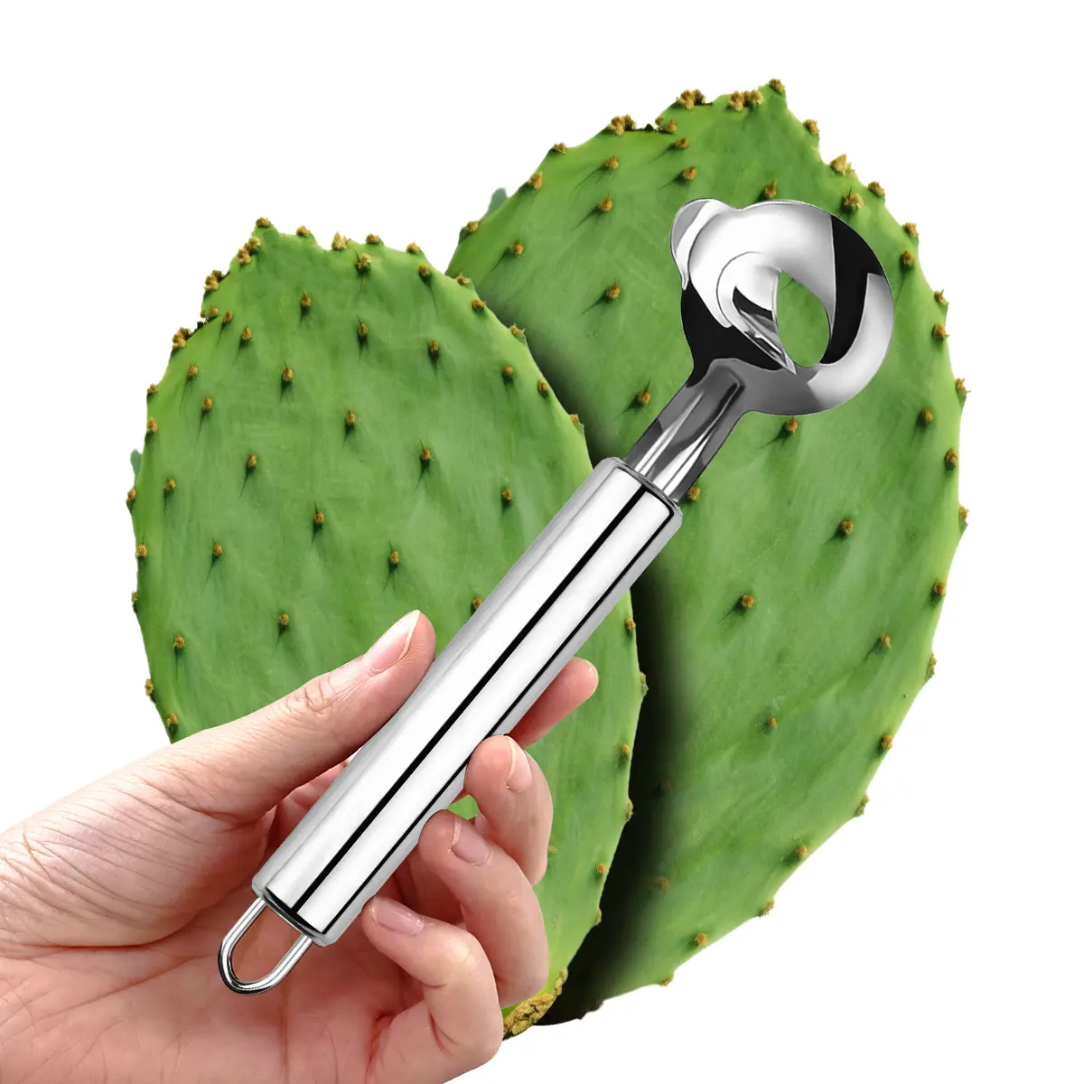 Stainless Steel Kitchen Utensils Tool Set - Cactus & Blush Pink Peelers, Multi-Functional Spoon-Shaped Vegetable Fruit Food Cutter with Sharp Blade, Peeling & Noodle Prep Kitchen Accessories for Home Use