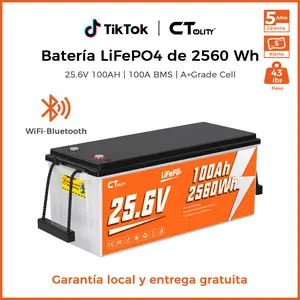 [DealsForYouDays]CTOLITY CT100-25 25.6V 100Ah 2560Wh LiFePO4 Battery Built-in 100A BMS A Grade Cells Max 2560W 4000+ Cycle Solar Generater Systerm RV