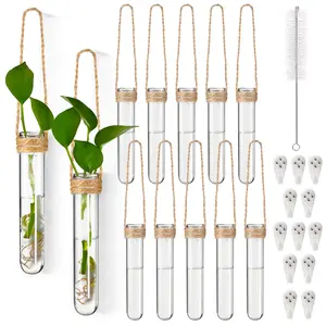 Baderke 12 Pack Plastic Hanging Propagation Vases Wall Planters Plant Station Flower Vase for Hydroponic Home Office Garden Decor Lover Gift (Natural Color)