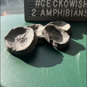 Reptile Calcium Bowl