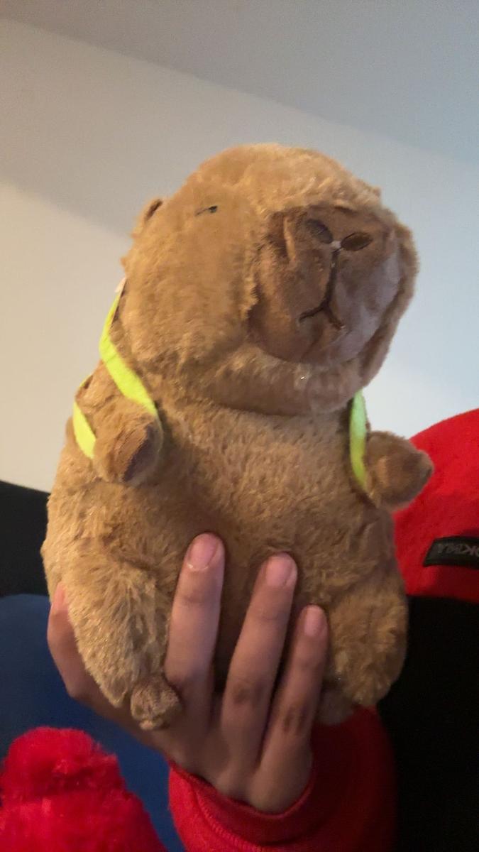 Item: 1 pack (9 inch)