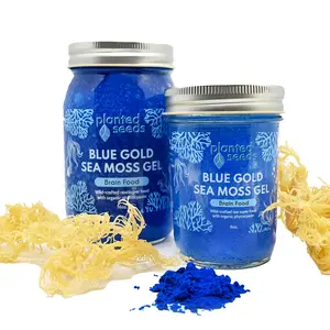 Blue Gold Sea Moss Gel Blue Gold Sea Moss Gel