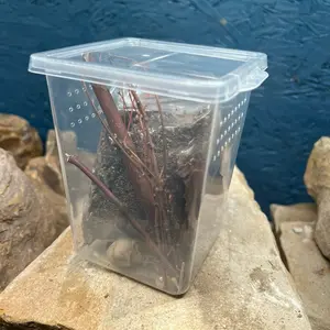 Tarantula/Spider housing kit Tarantula/Spider housing kit