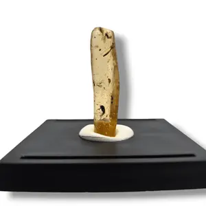 Amber with Insect Inclusion from Baltic Region - Rare Collectible