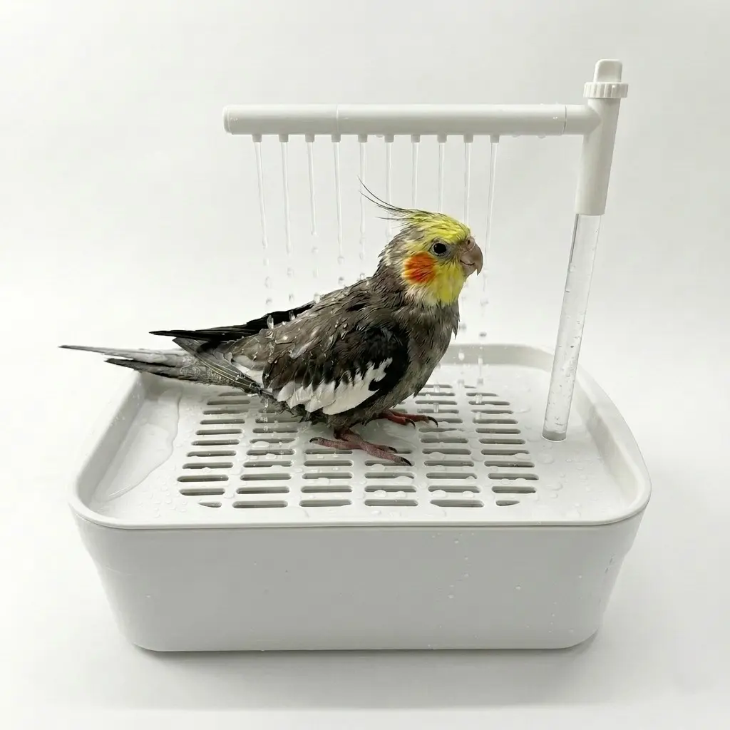 Automatic Parrot Bath Box, Reusable Water Circulation, Fits Two Small Parrots at Once, Suitable for Quaker Parakeets, Grooming, Parakeet Bird Bath
