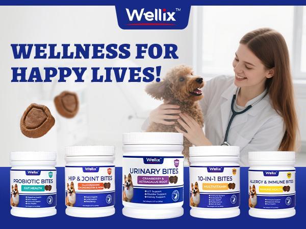 Wellix Dog Urinary Bites, 260-Count High Count Bulk Pack with Cranberry, D-Mannose & Fish Oil, Chicken Flavor
