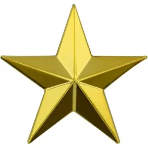 3D Gold Star Lapel Pin, Military Style 5 Point Star Brooch for Hat Jacket Backpack