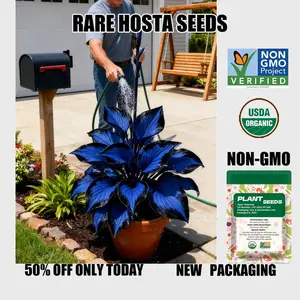 Plant Seeds Rare Deep Blue & Purple Hosta Seeds Perennial Plants for Outdoor Gardens Pollinator Attraction Indoor Bonsai Decoration 800 Premium Seeds for Lush Foliage All Seasons Easy Gardening Timeless Perennials Flexible Planting Options