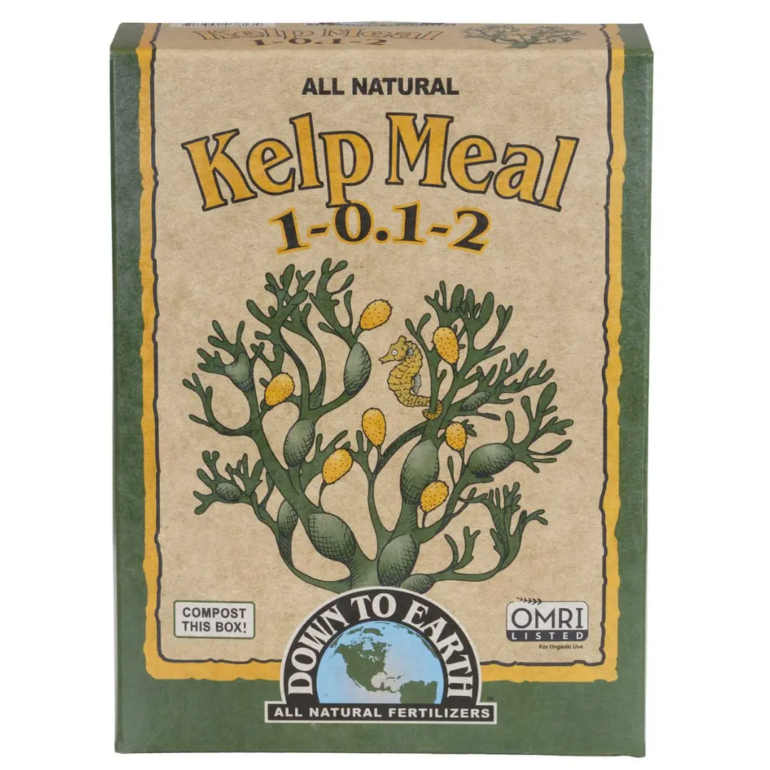 Down to Earth Organic Kelp Meal Fertilizer Mix 1-0.1-2, 0.5 Lb tilizers tilizers tilizers Down To Earth All Natural Fertilizers