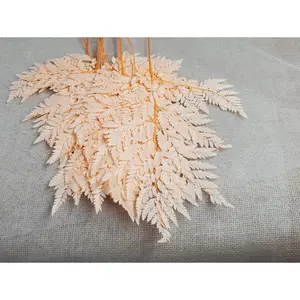 Champagne Preserved Fern flower, flowers for bouquets, wedding flowers, filler, dried flowers  arrangements, Wedding decor, 19"-20"tall,