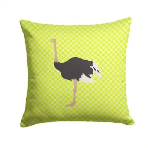 Common Ostrich Green Fabric Decorative Pillow BB7750PW1414