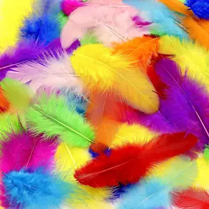 800 count Colorful Craft Rooster Feathers 3-5-inch Bulk Feathers for Crafting  DIY Crafts, Wedding, Family Party Decorations, Dream Catcher Supplies,  Feathers