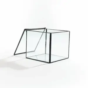 Square Glass Terrarium with Lid (No Plants) - Glass Container Decor Decorative mossplantpetaquariumdesk cherryblossomtreedecor