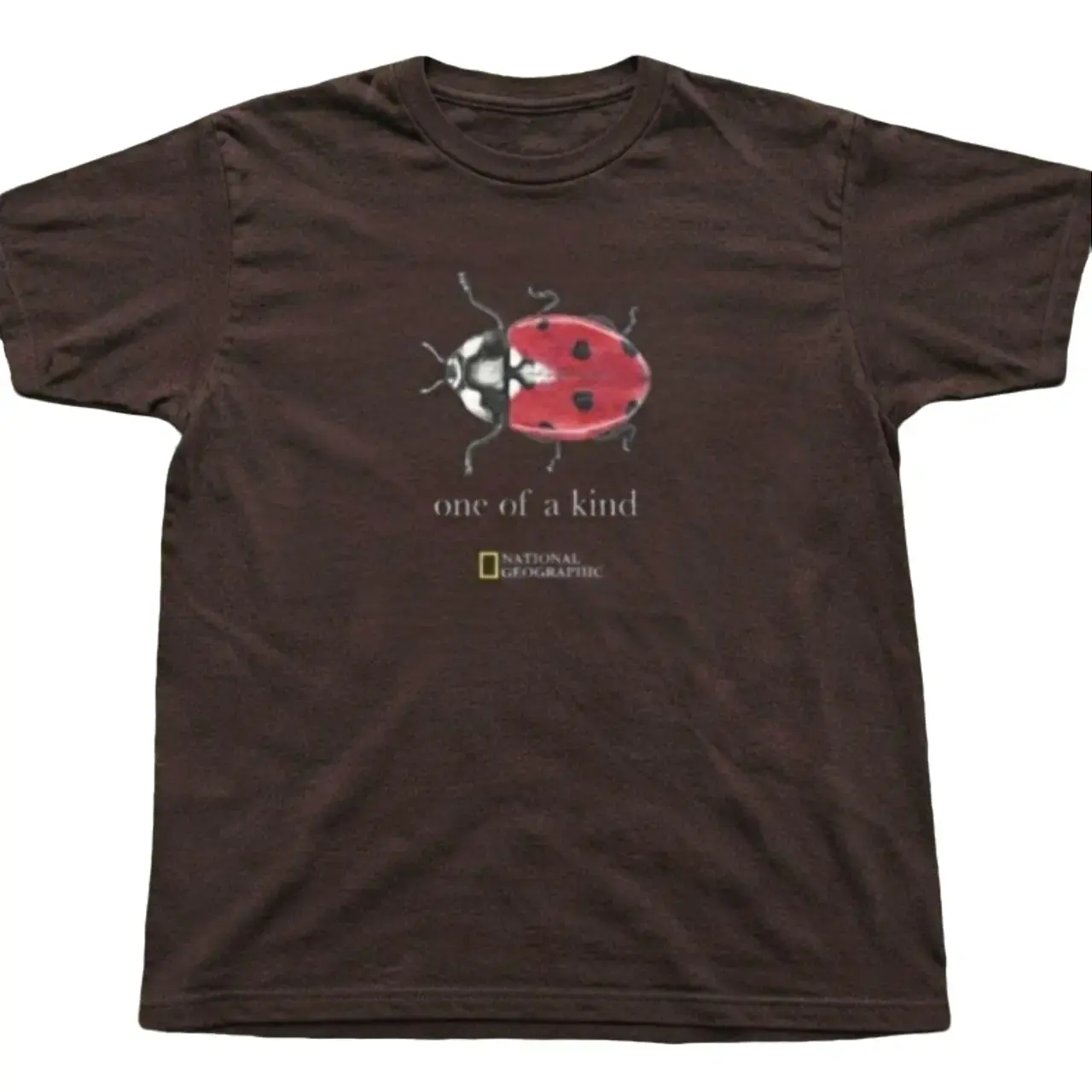National Geographic Ladybug Graphic T Shirt Brown Unisex Cotton Vintage Botanical Garden Insect Nature Inspired Casual Streetwear Tee