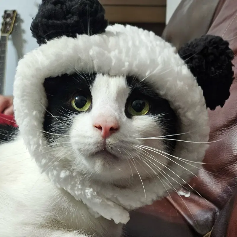 Fluffy Panda Bear Pet Hat – Soft Sherpa Fleece Hood for Cats, Kittens, & Small Dogs