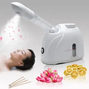 Portable Facial Steamer, 1 Count Hot Steam Nano Facial Beauty Instrument, Moisturizing Skin Care Instrument for Home Use, Gift, Skin Care, Hygiene Body Product, Facial Machine