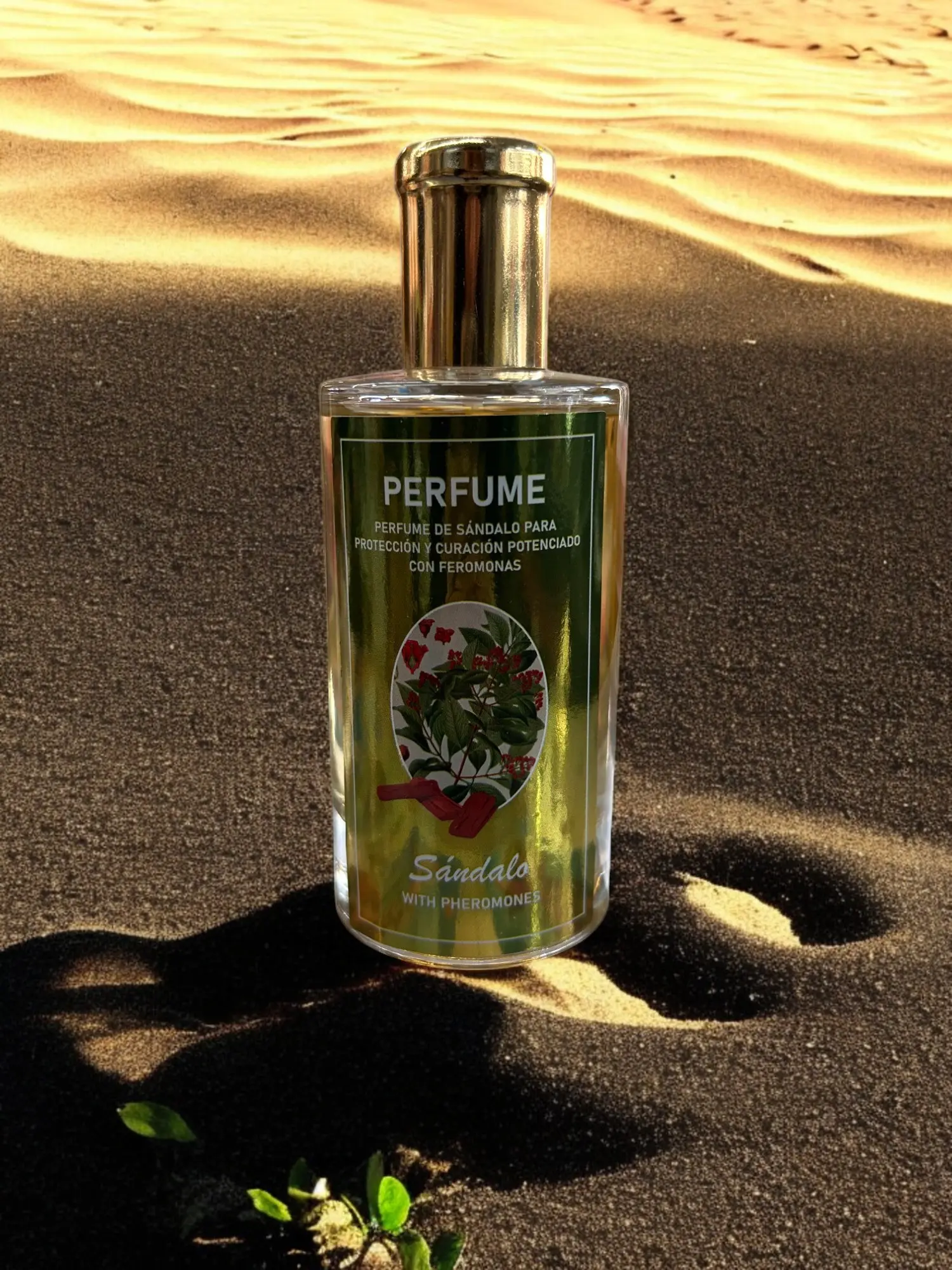 Olofin Perfume Sandalwood - Unique Liquid Perfume for Versatile Use - Single Item - Convenient Fragrance Experience