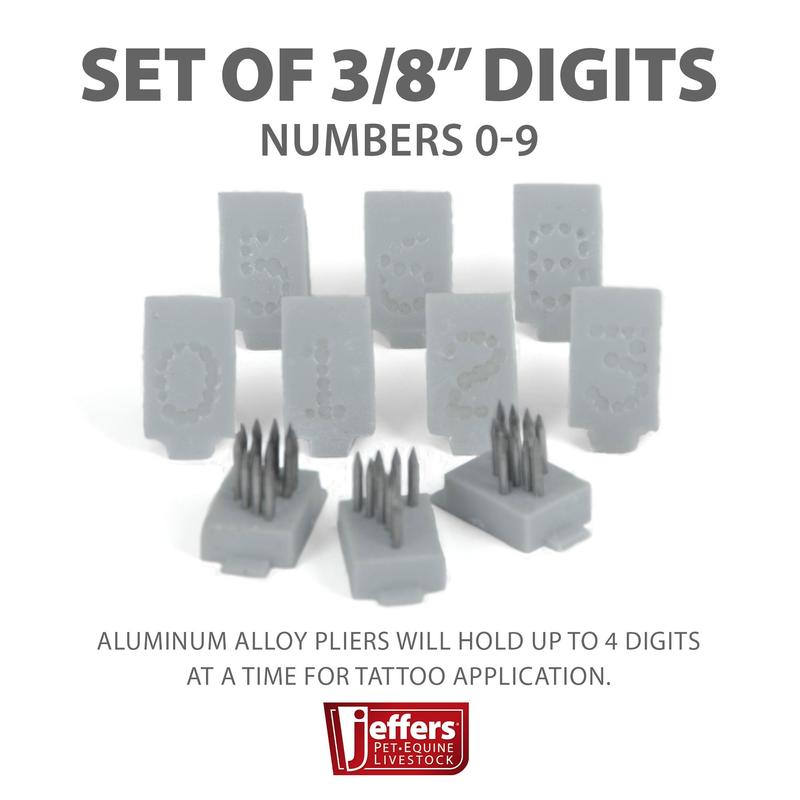 Extra Jeffers Standard Tattoo Letters and/or Numbers, 3/8"