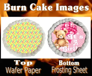 Gender Reveal Baby Girl Teddy Burn Cake Edible Toppers ~ 2 Piece Burn/Reveal Images