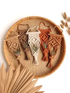 Air Plant Holder - Macrame Wall Hanging - Aesthetic Tillandsia Accessory - Mini Pot Hanger - Small Space Boho Home Decor - Gifts for Plant Moms - 100% Recycled Cotton Fibers - Decorative Planter